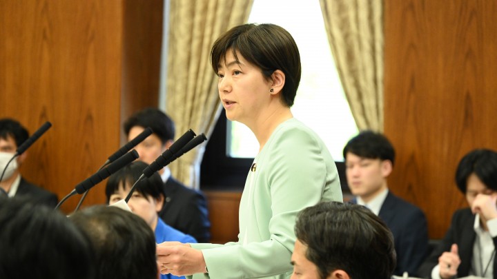 20260617参院デジタル特別委員会で石垣議員が質問