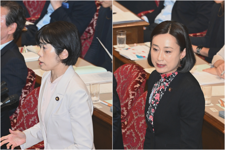 20260521参連合審査 打越さく良、田島麻衣子両議院