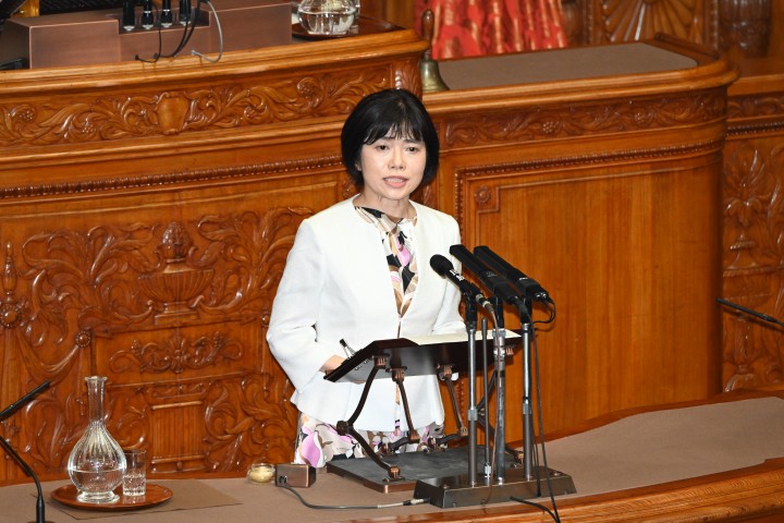 20260515参院本会議入管法改正案代表質問・打越さく良議員