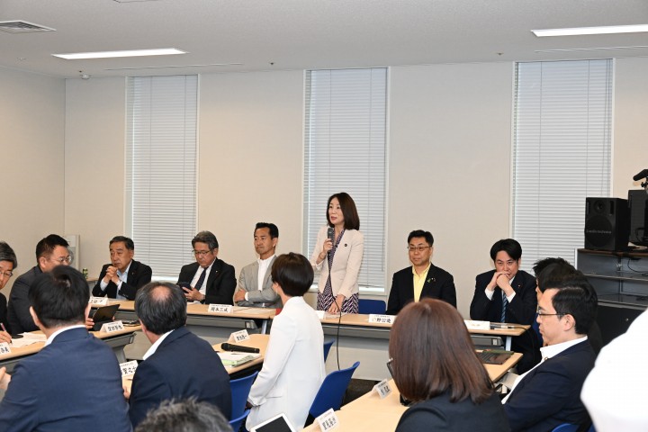 2026年6月11日 第17回三党合同政調審議会