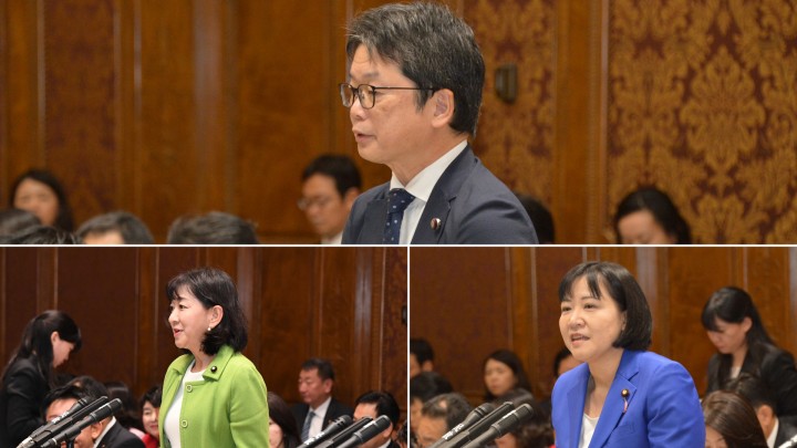 石橋通宏 牧山ひろえ 岸真紀子 参院予算委員会