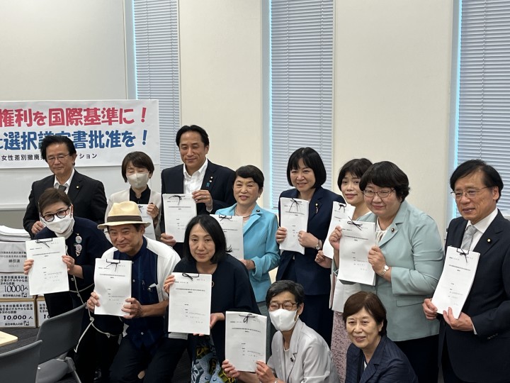 女性差別撤廃条約 岸真紀子 打越さく良 川田龍平