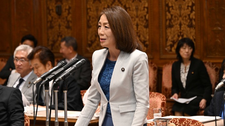 参院決算委員会 徳永エリ