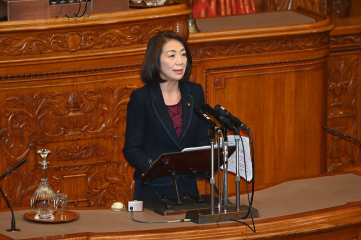 徳永エリ 参院本会議