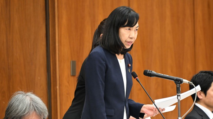 金子恵美 衆院農林水産委員会 食料・農業・農村基本法改正案