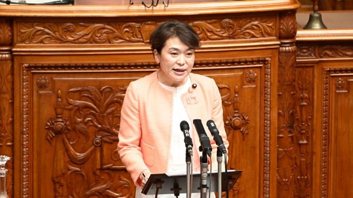 高木真理 参院本会議 介護・育児休業法等改正案