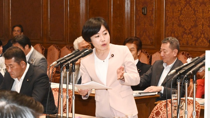 参院決算委員会 村田享子