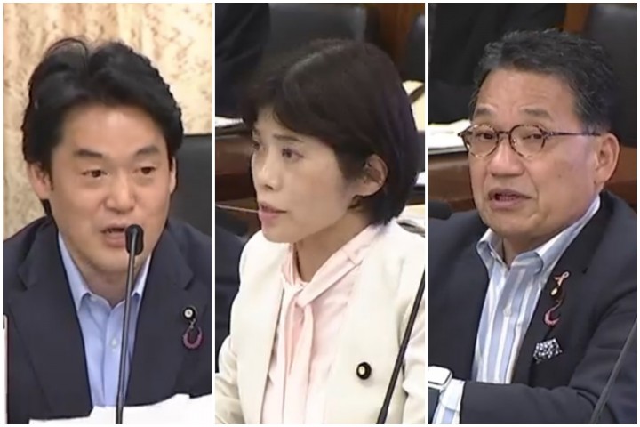 小西洋之 打越さく良 熊谷裕人 参院憲法審査会