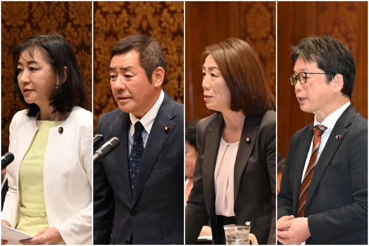 参院予算委員会 牧山ひろえ 勝部賢志 徳永エリ 石橋通宏