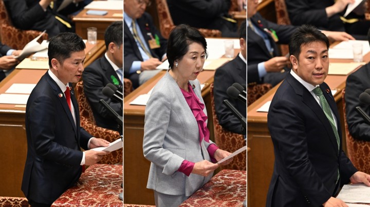 藤岡たかお 早稲田ゆき 中谷一馬 子ども・子育て支援法改正案