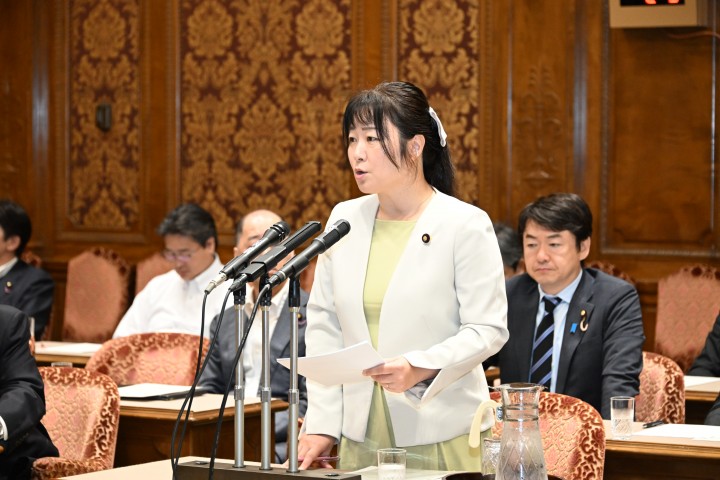 参院政治改革特別委員会 宮口治子