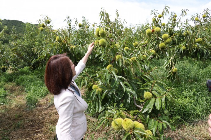 徳永エリ