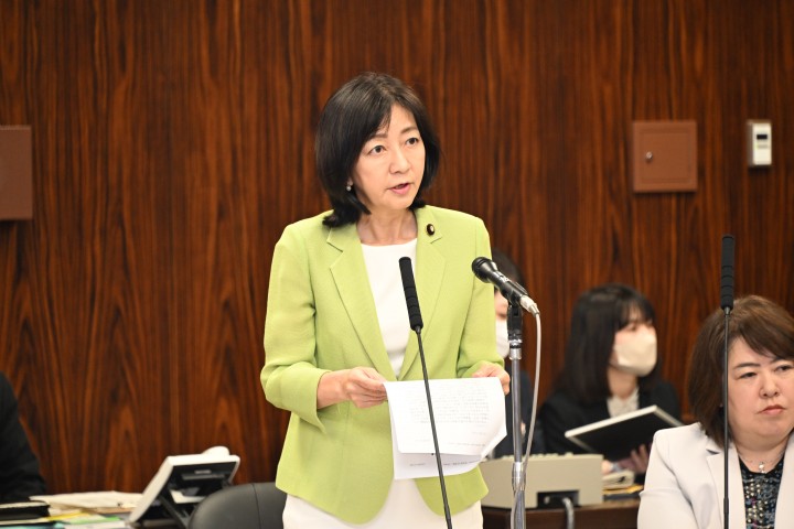 参院法務委員会 牧山ひろえ 出入国管理法案