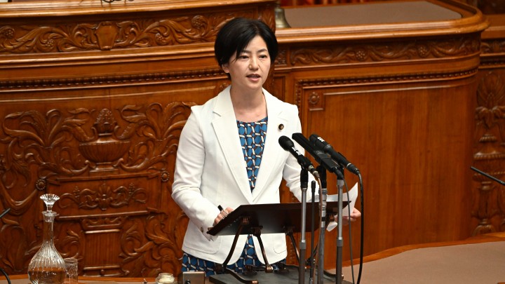 参院本会議 石垣のりこ 子ども・子育て支援法改正案