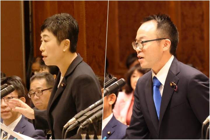 辻元清美 小沼巧 参院予算委員会