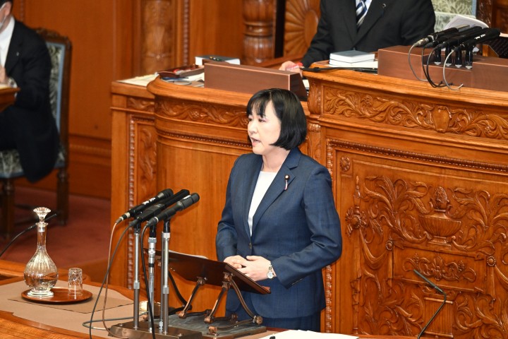 岸真紀子 参院本会議 地方自治法の一部を改正する法律案
