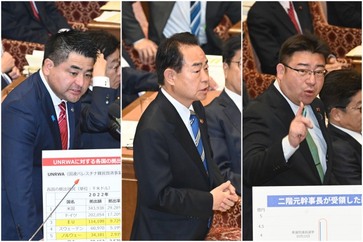 衆院予算委員会 太栄志 野間健 渡辺創