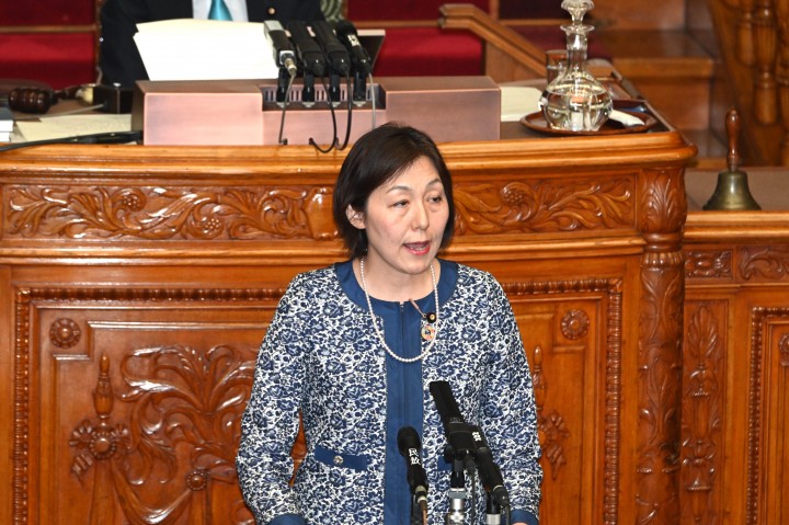 水野素子 参院本会議 GCAP政府間機関の設立に関する条約