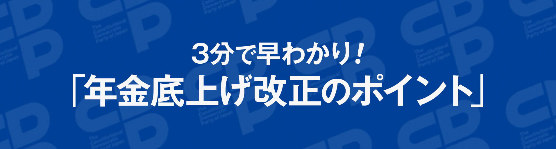 年金底上げ改正のポイント