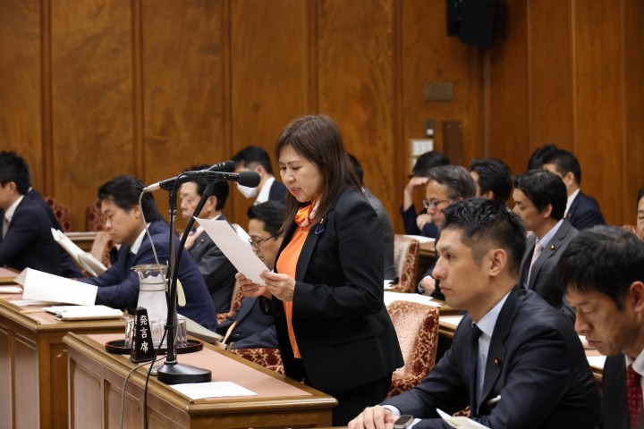 亀井亜紀子　衆院政治倫理審査会