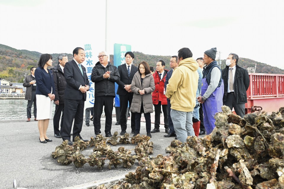 水揚げ時に9割が死んでおりカキの出荷ができない状況 水揚げ時に9割が死んでおりカキの出荷ができない状況