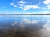 2025年「環境の日」談話　北海道・ウトナイ湖 （国指定鳥獣保護区特別地区）