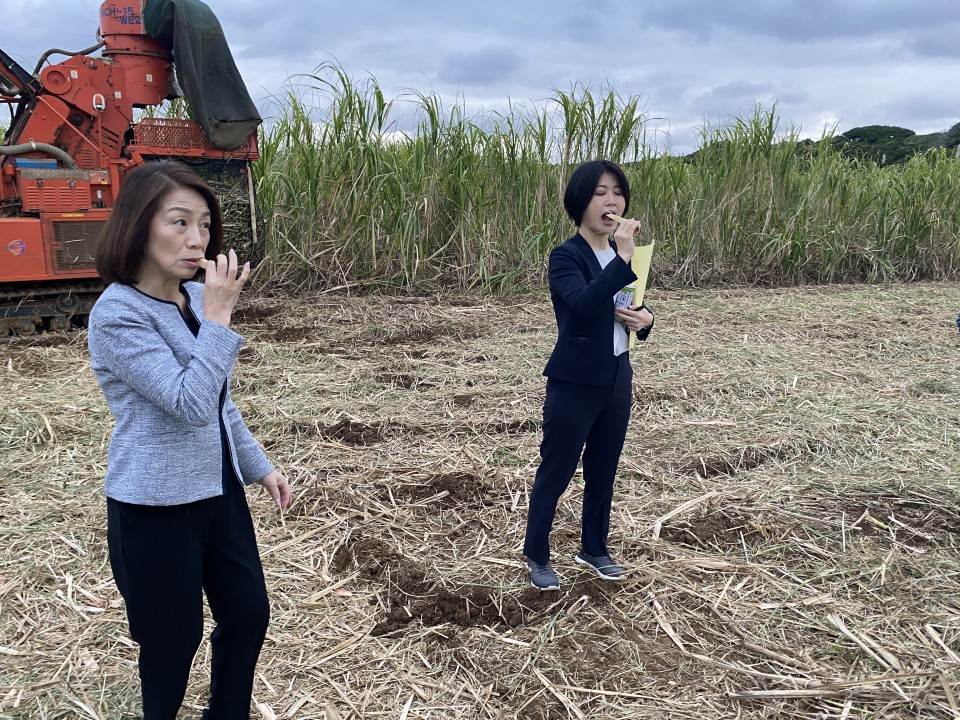 写真3_さとうきび収穫.JPG