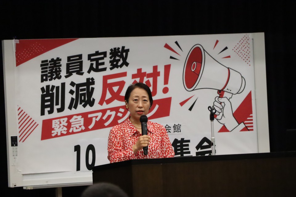 三浦まり上智大学教授