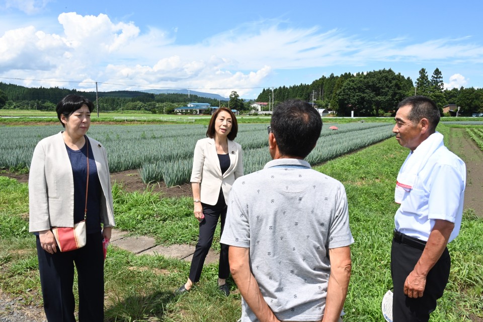 十和田市内の中山間地の農地を視察。「これからの担い手をどう確保していくのか心配」など、農業者の方から話を伺う。 田名部匡代 徳永エリ 農林水産キャラバン