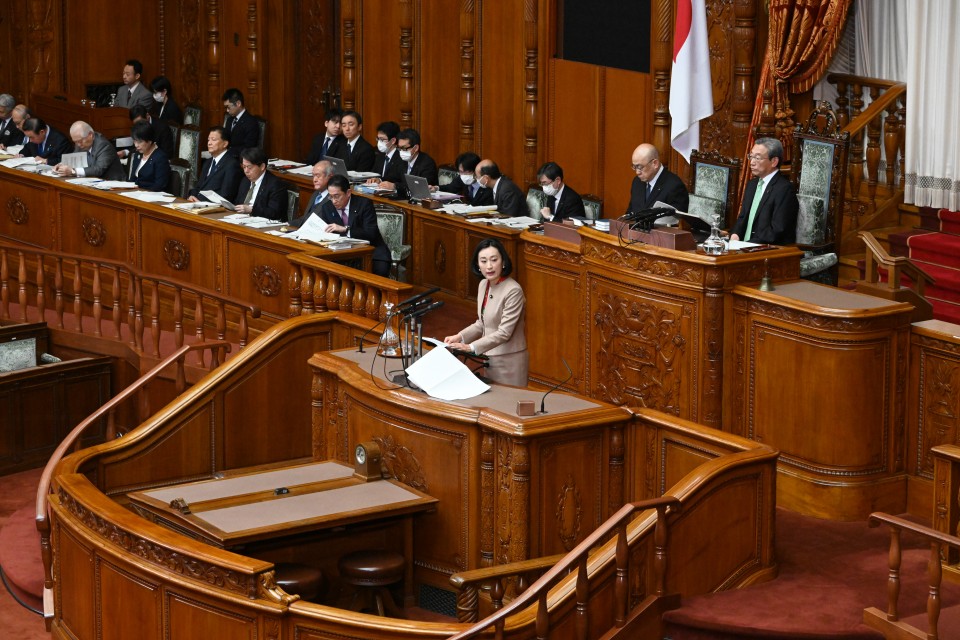 田島麻衣子 参院本会議