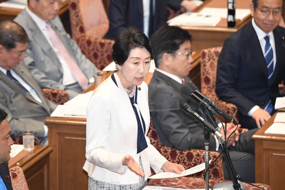 衆院予算委員会 早稲田ゆき