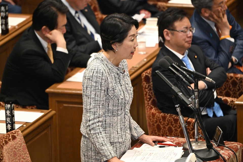 早稲田ゆき 予算委員会