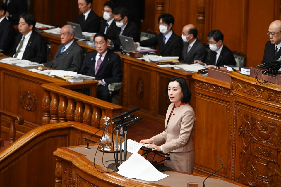田島麻衣子 参院本会議