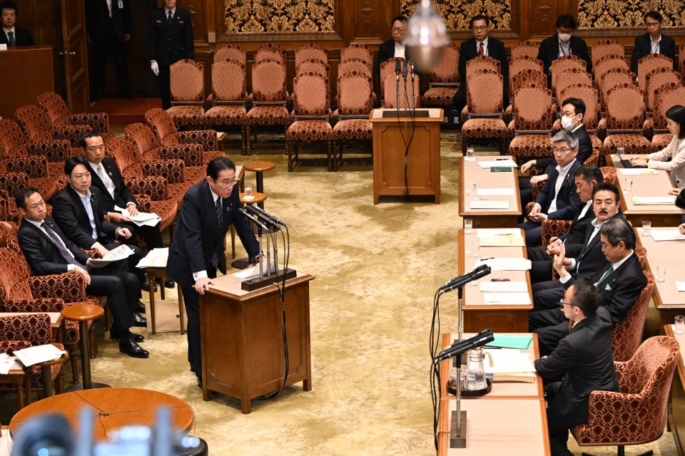 小沼巧 参院政治改革特別委員会 第213回通常国会