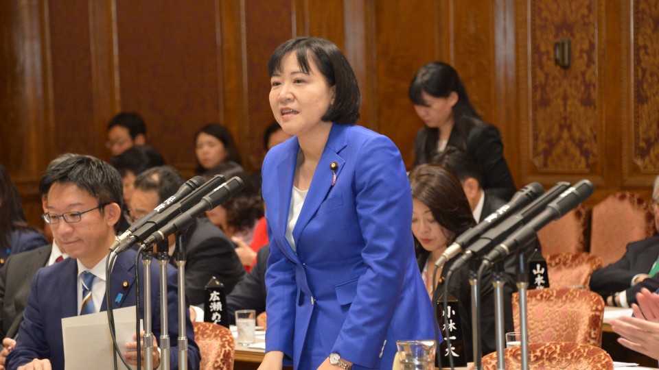 参院予算委員会 岸真紀子