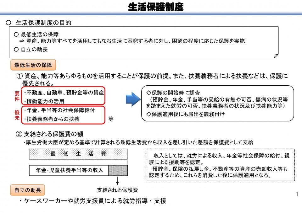 210216 生活保護関係資料(厚生労働省) 2.jpg