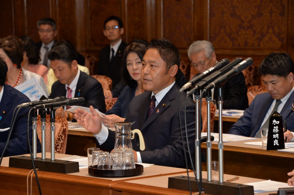 参院予算委員会 横沢たかのり