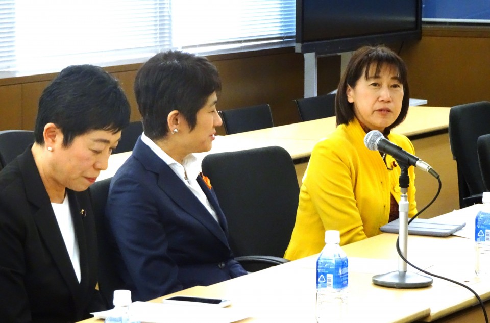 女性差別撤廃条約選択議定書 西村智奈美 辻元清美 岡本あき子 大河原まさこ
