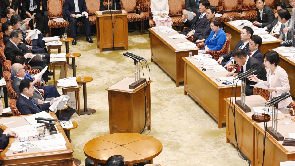 参院決算委員会 村田享子