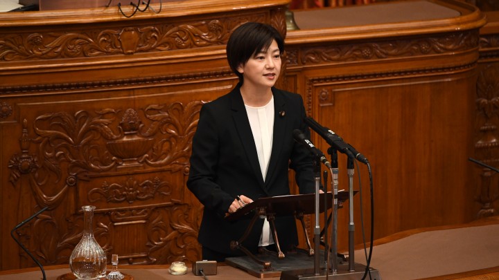 石垣のりこ　大臣等特別職の給与を増額する改正案