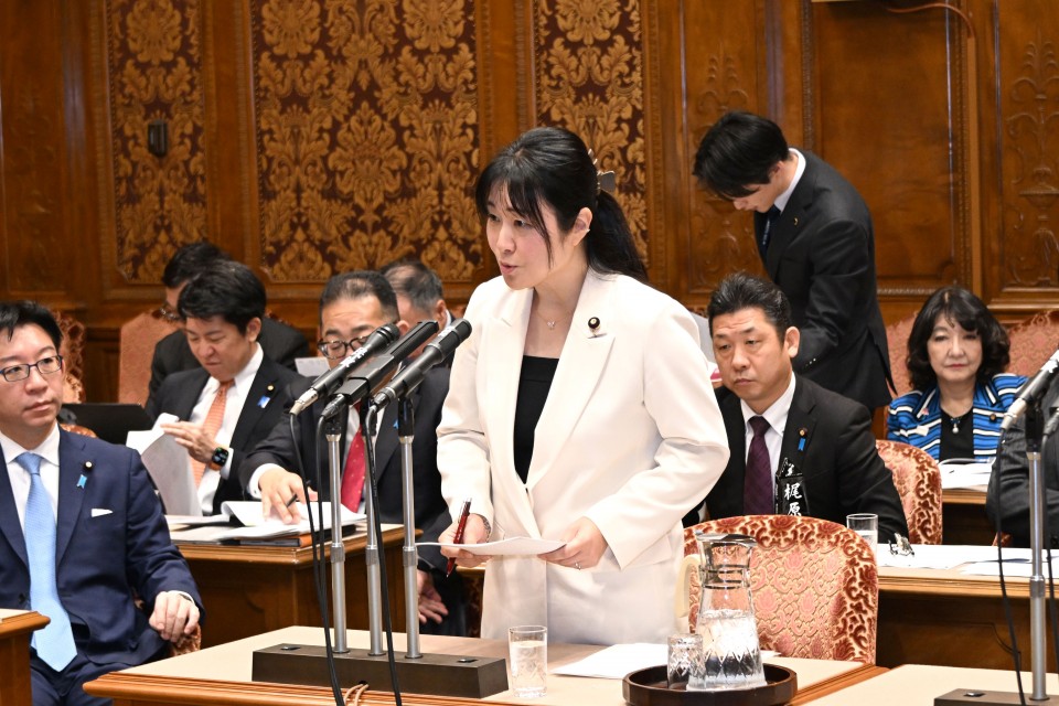 宮口治子 参院予算委員会