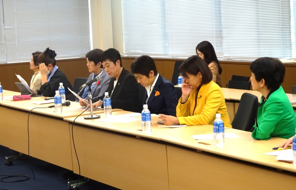 女性差別撤廃条約選択議定書 西村智奈美 辻元清美 岡本あき子 大河原まさこ