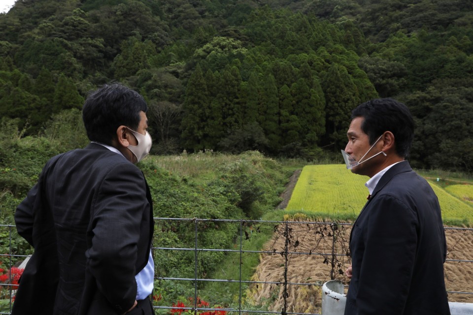 ウンカ被害のあった水田(手前)を視察する枝野代表と大串議員 20200922_165101_re2_rsz.JPG