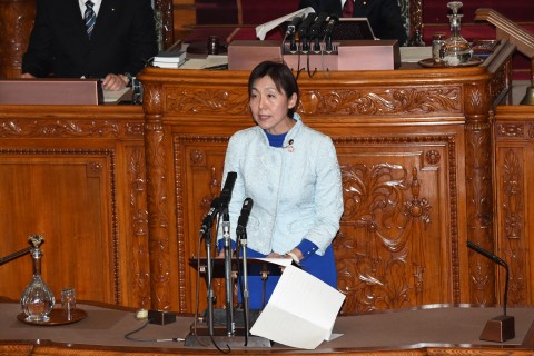 水野素子　参院本会議　
