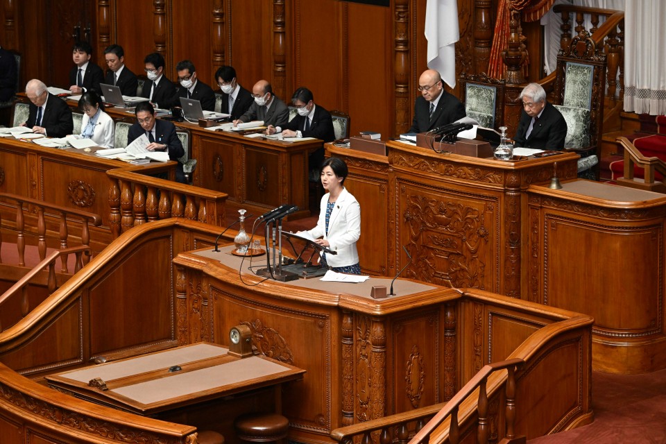参院本会議 石垣のりこ 子ども・子育て支援法改正案