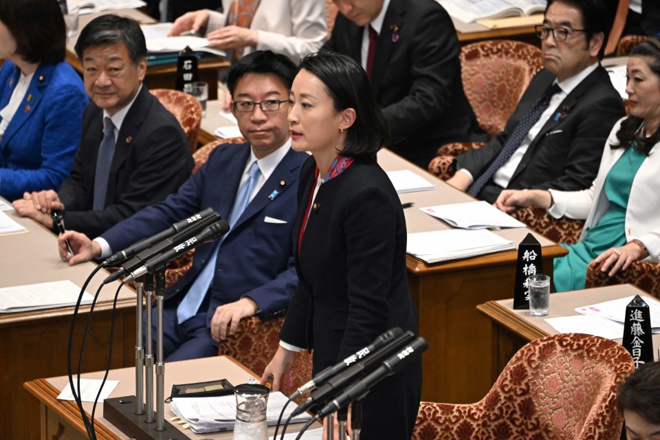 参院予算委員会 田島麻衣子