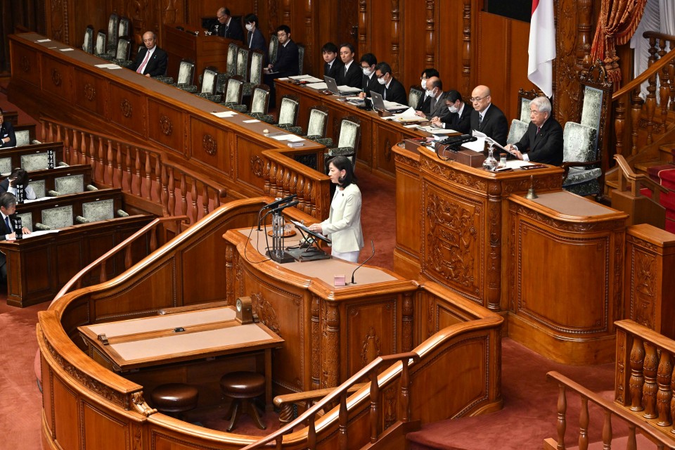 参院本会議 牧山ひろえ 共同親権 民法改正案