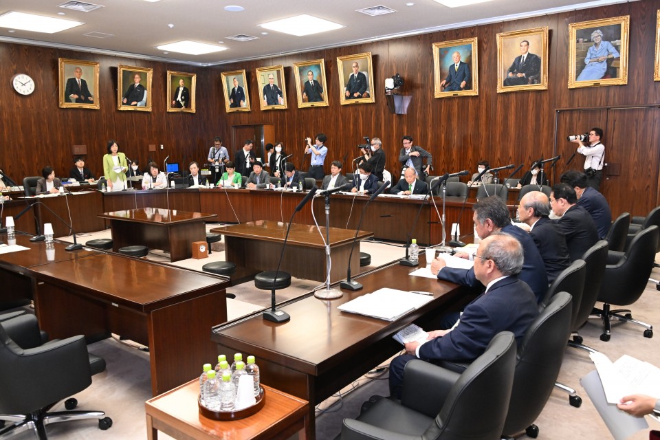 参院法務委員会 牧山ひろえ 出入国管理法案
