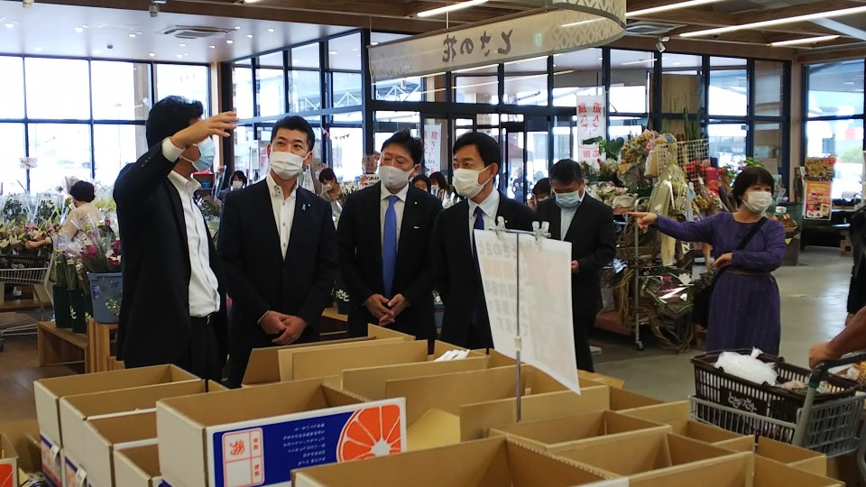 とさのさとを視察する泉政調会長(左から2人目)、森屋隆参院議員(右から2人目)、広田一衆院議員(右) ②とさのさと視察.JPG